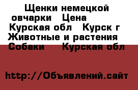 Щенки немецкой овчарки › Цена ­ 8 000 - Курская обл., Курск г. Животные и растения » Собаки   . Курская обл.